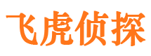 大新市婚姻调查